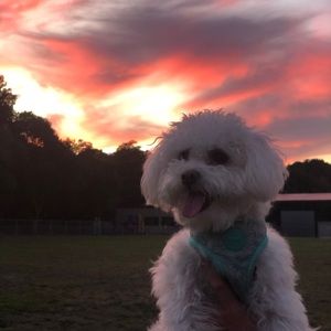 Meet your Posher, Christy